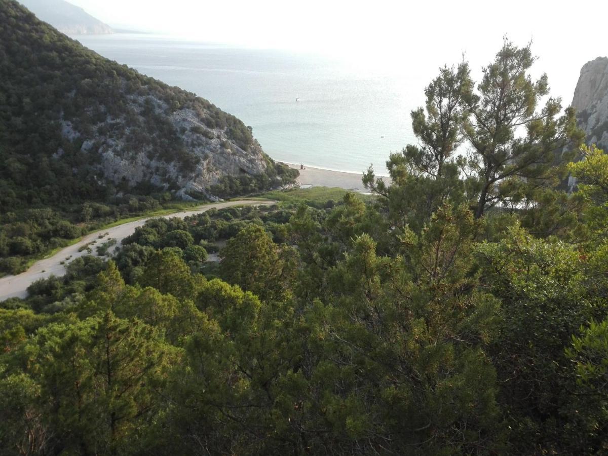 Monolocale Marizzola Apartment Cala Gonone Bagian luar foto
