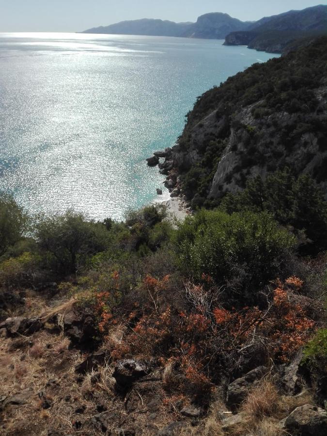 Monolocale Marizzola Apartment Cala Gonone Bagian luar foto