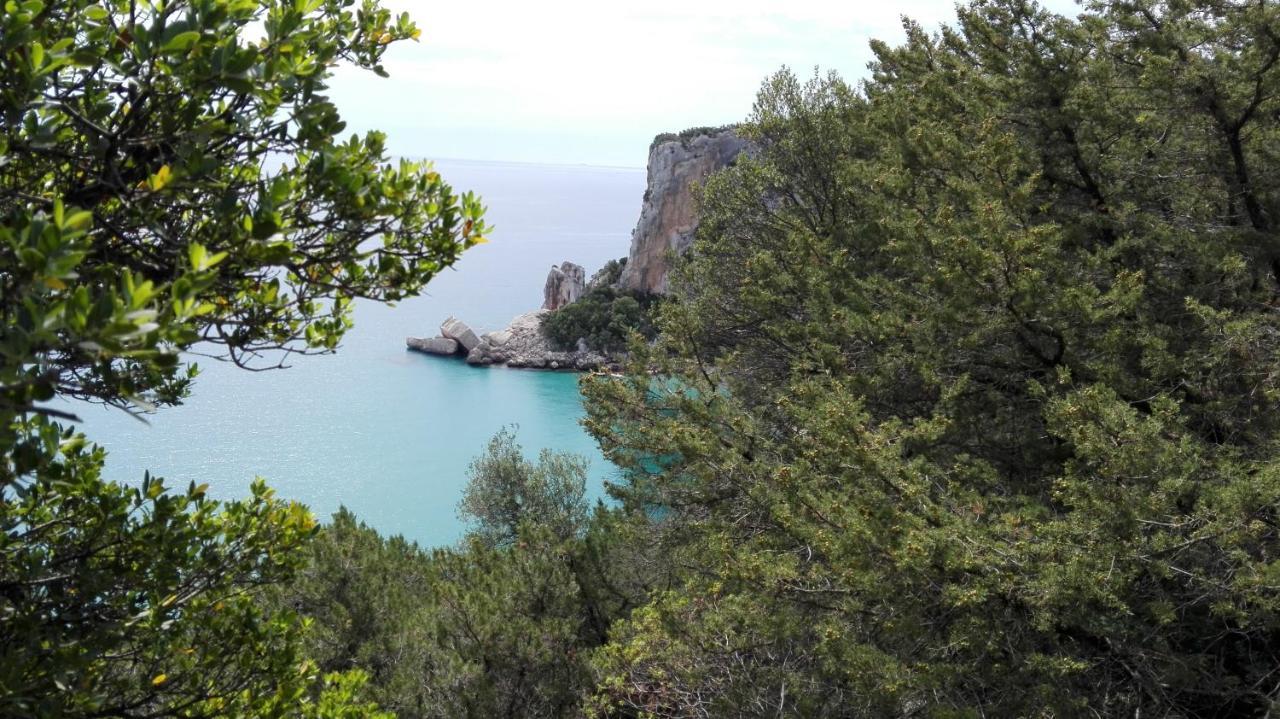 Monolocale Marizzola Apartment Cala Gonone Bagian luar foto