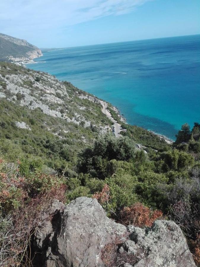 Monolocale Marizzola Apartment Cala Gonone Bagian luar foto
