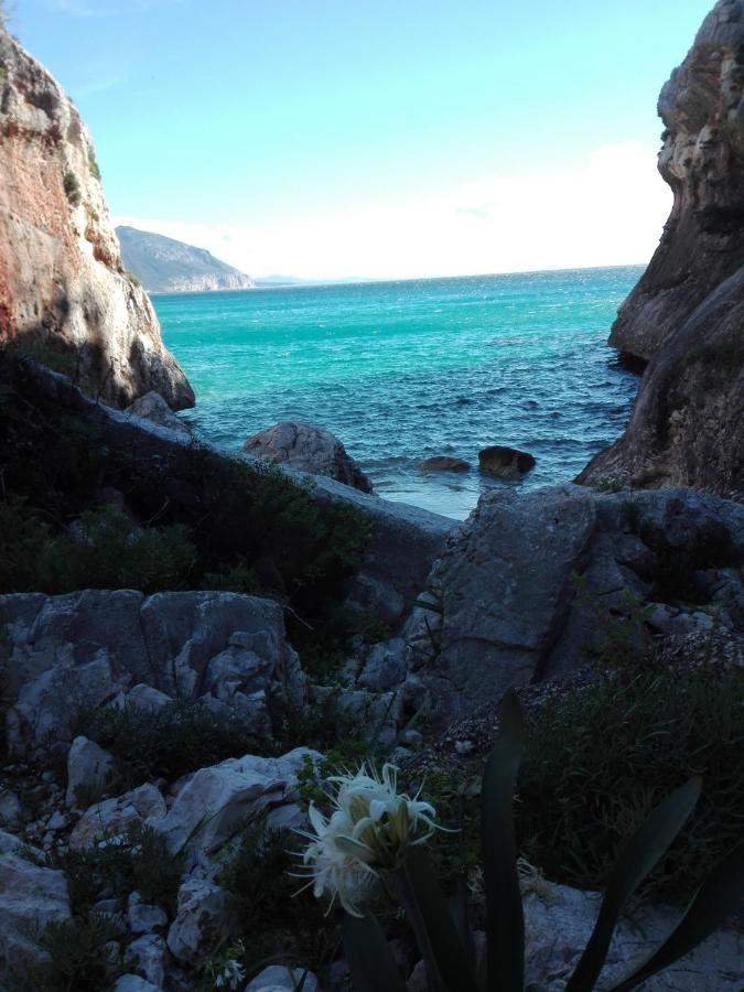 Monolocale Marizzola Apartment Cala Gonone Bagian luar foto